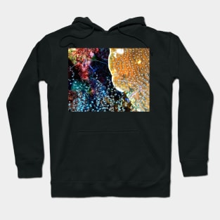 Pederson Cleaner Shrimp Hoodie